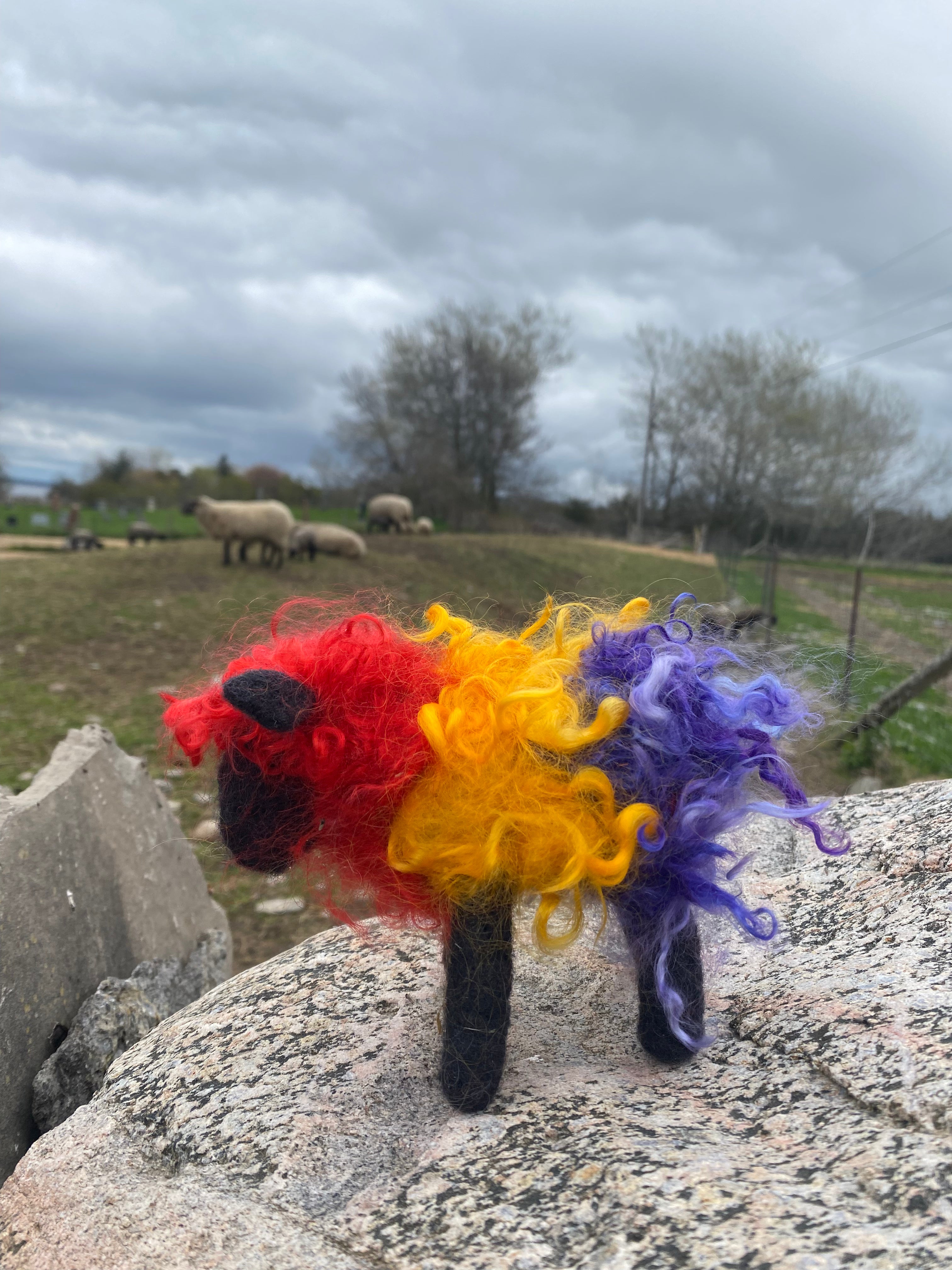 Topsy Farms Handmade Felted Wool Rainbow Sheep