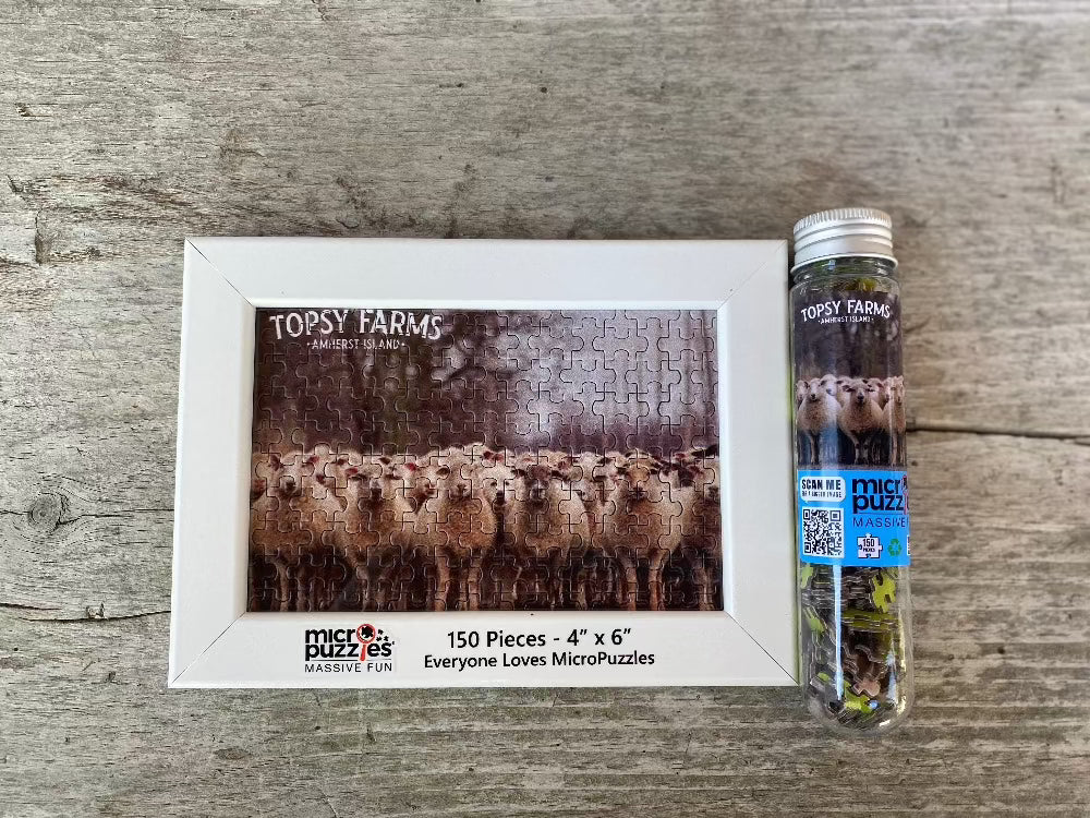 Topsy Farms, Puzzles, Games