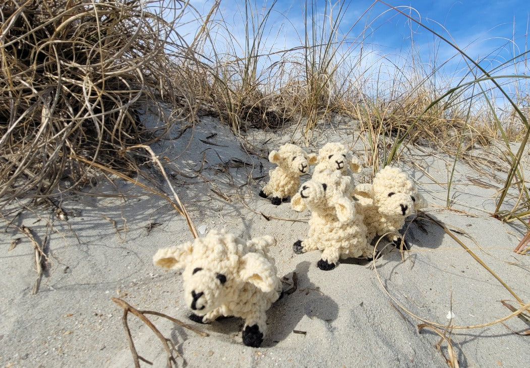 Topsy Farms' handmade wool sheep on a sand beach