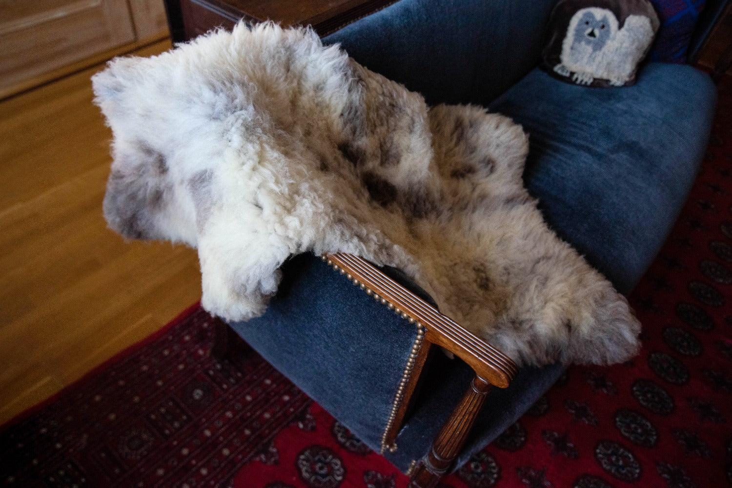 Topsy Farms' coloured sheepskin draped over a blue velvet couch on a rich red carpet