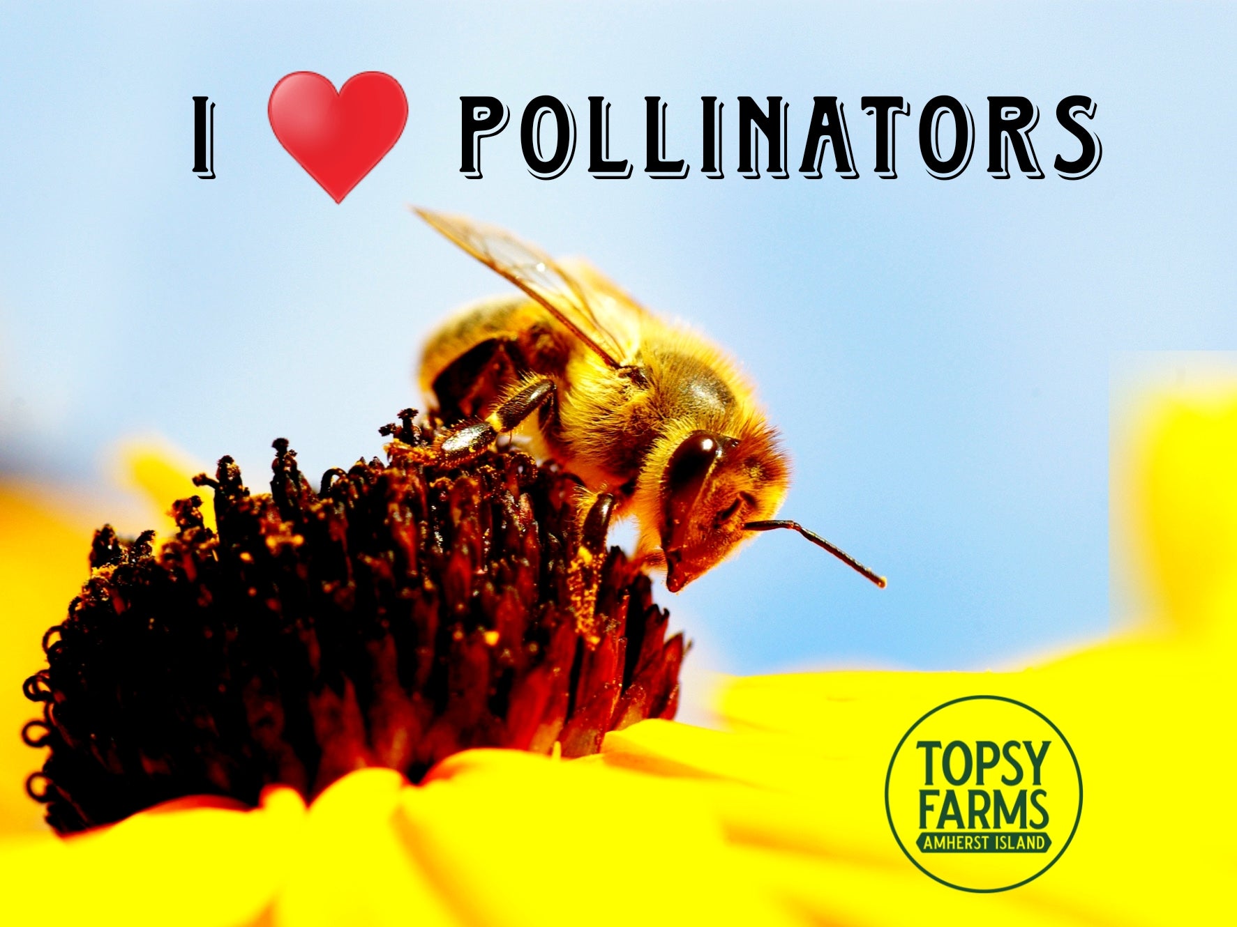 Adopt A Pollinator