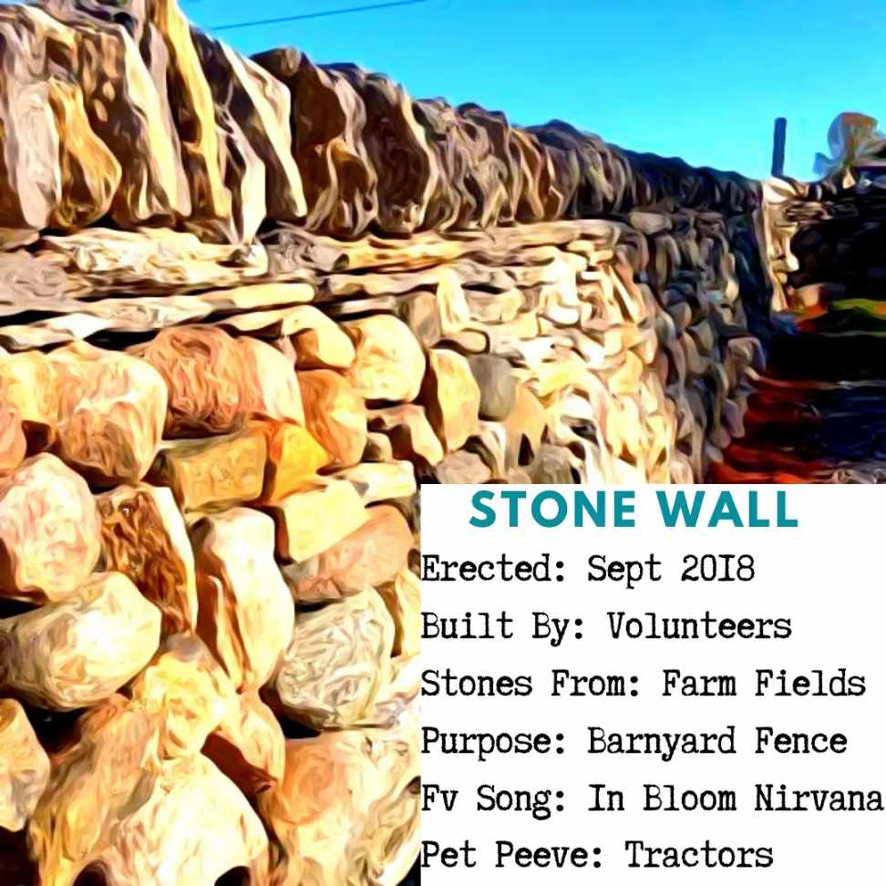 Dry Stone Wall