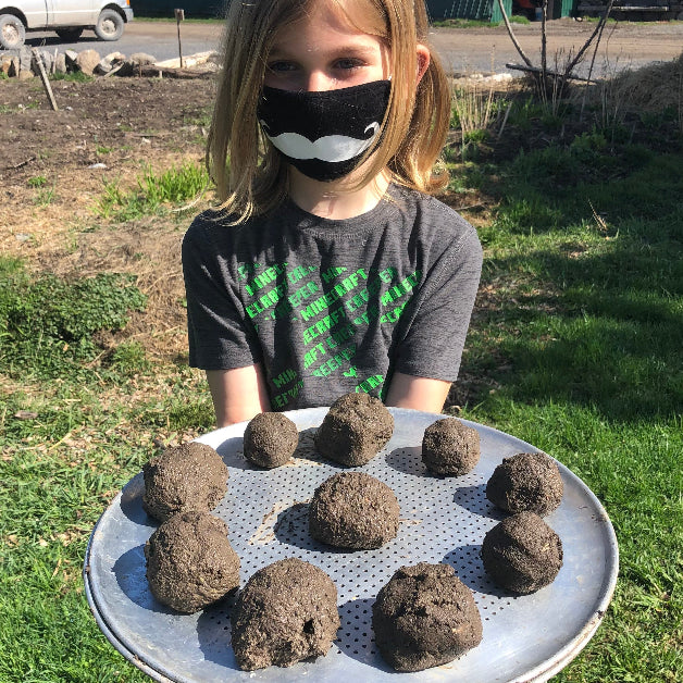 Child holding a tray of seed 