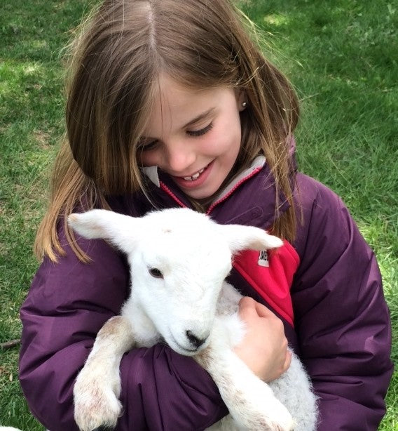 Foster Lamb Visit