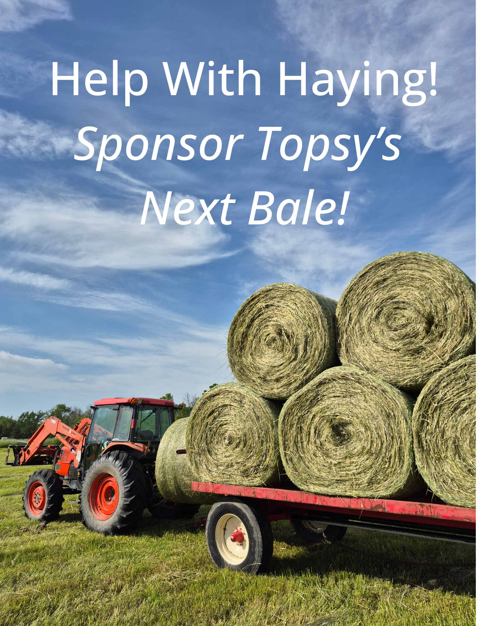 Sponsor the Next Bale