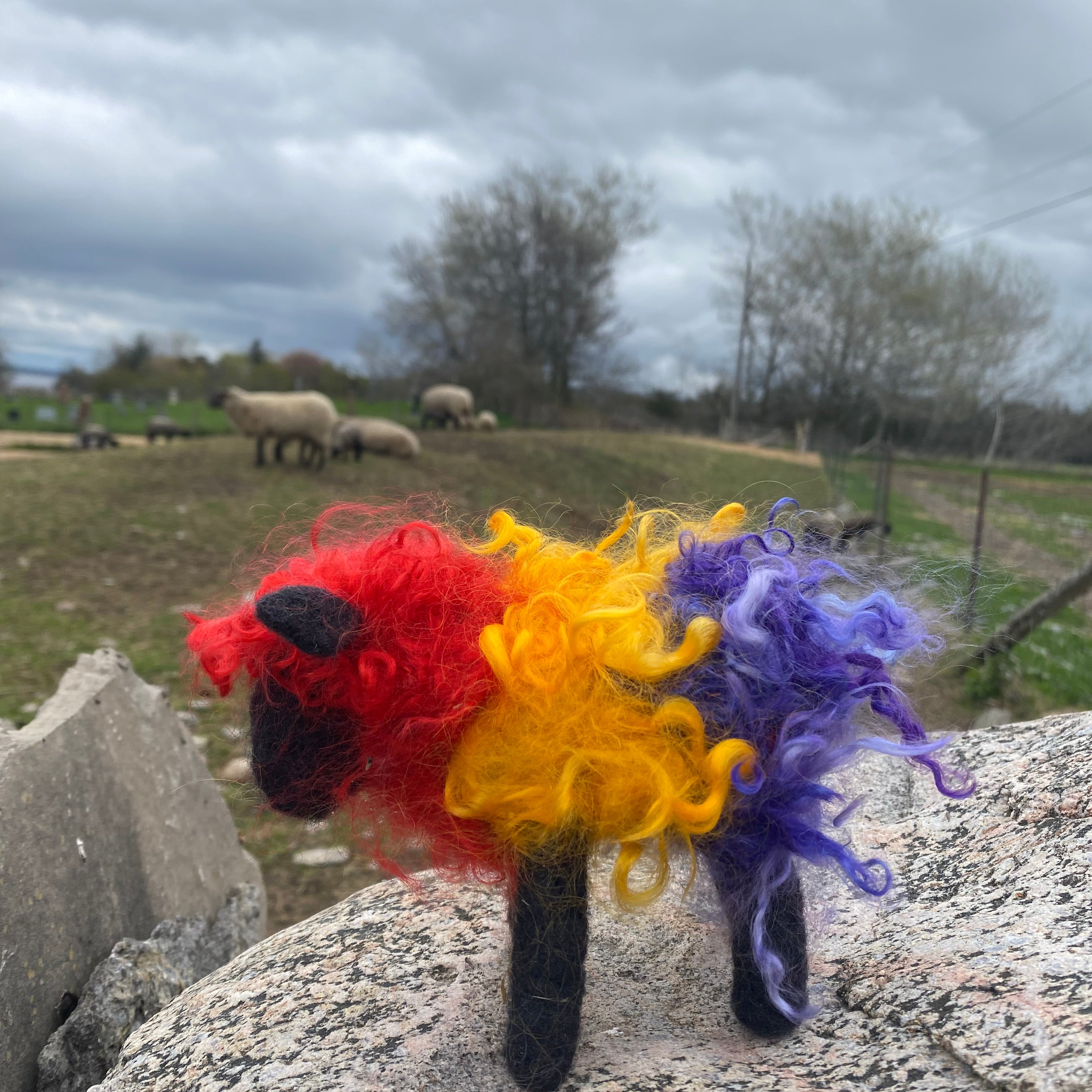 Topsy Farms Handmade Felted Wool Rainbow Sheep
