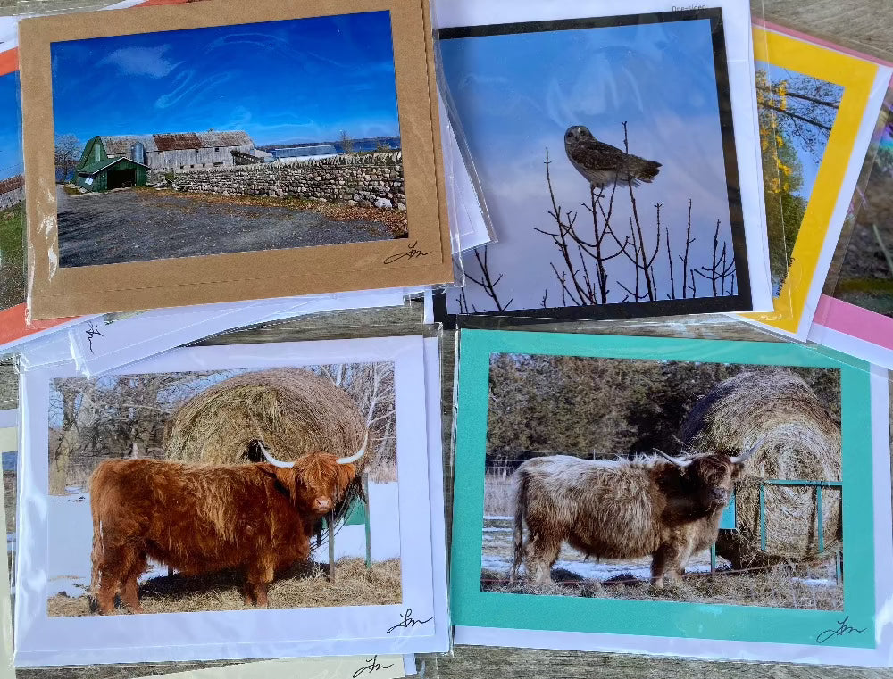 Greeting Cards, Topsy Farms