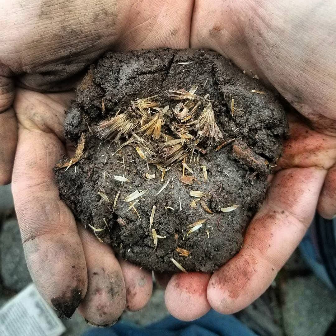 Topsy Farms' handmade seed balm/bomb