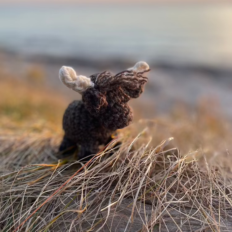 Topsy Farms' handmade wool highland cows