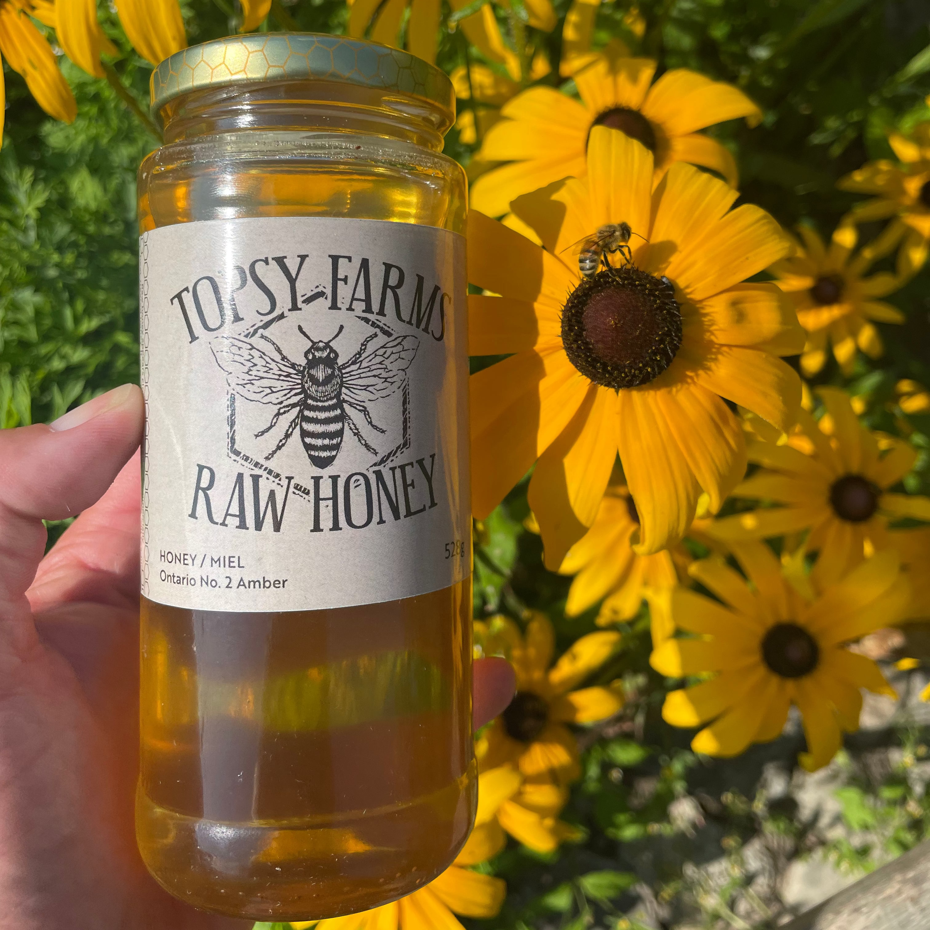 Jar of Topsy Farms Raw Honey held in front of yellow flowers with a bee on one of them.