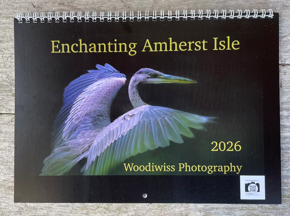 Amherst Island wildlife calendar