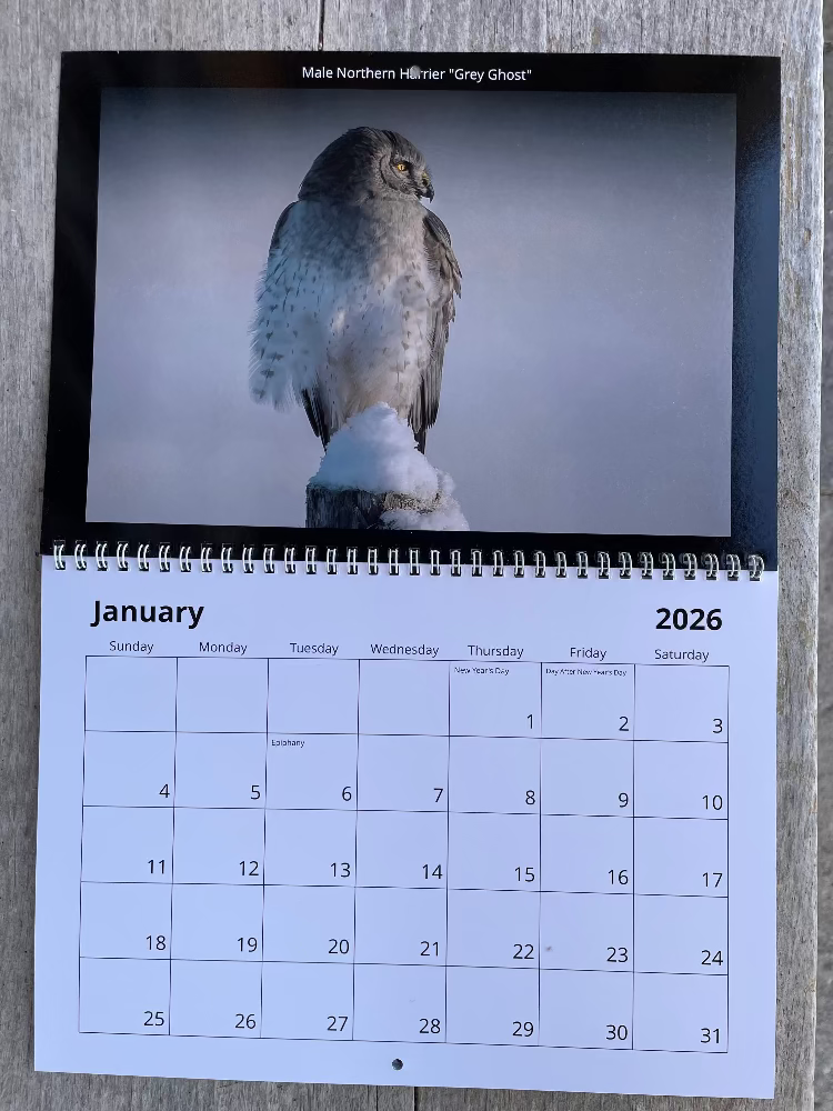 Amherst Island wildlife calendar