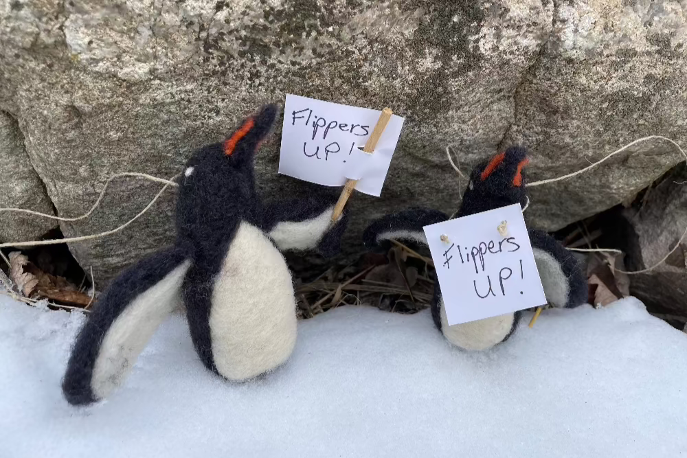 Topsy Farms' handmade wool penguins