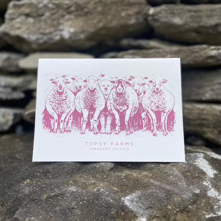 Topsy Farms' guard dog and sheep greeting card