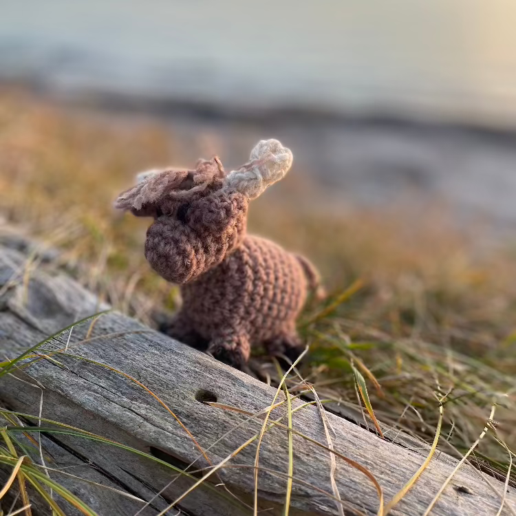 Topsy Farms' handmade wool highland cows