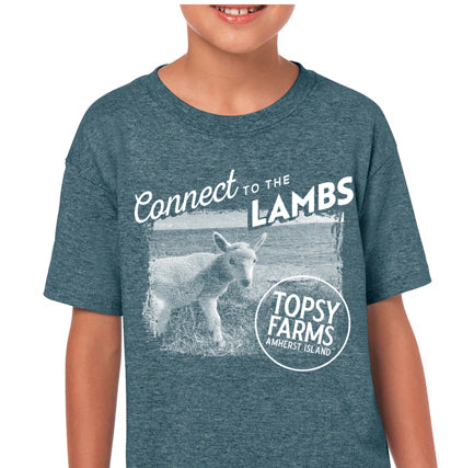 Topsy Farms' Connect to the Lambs tee shirt in blue heather