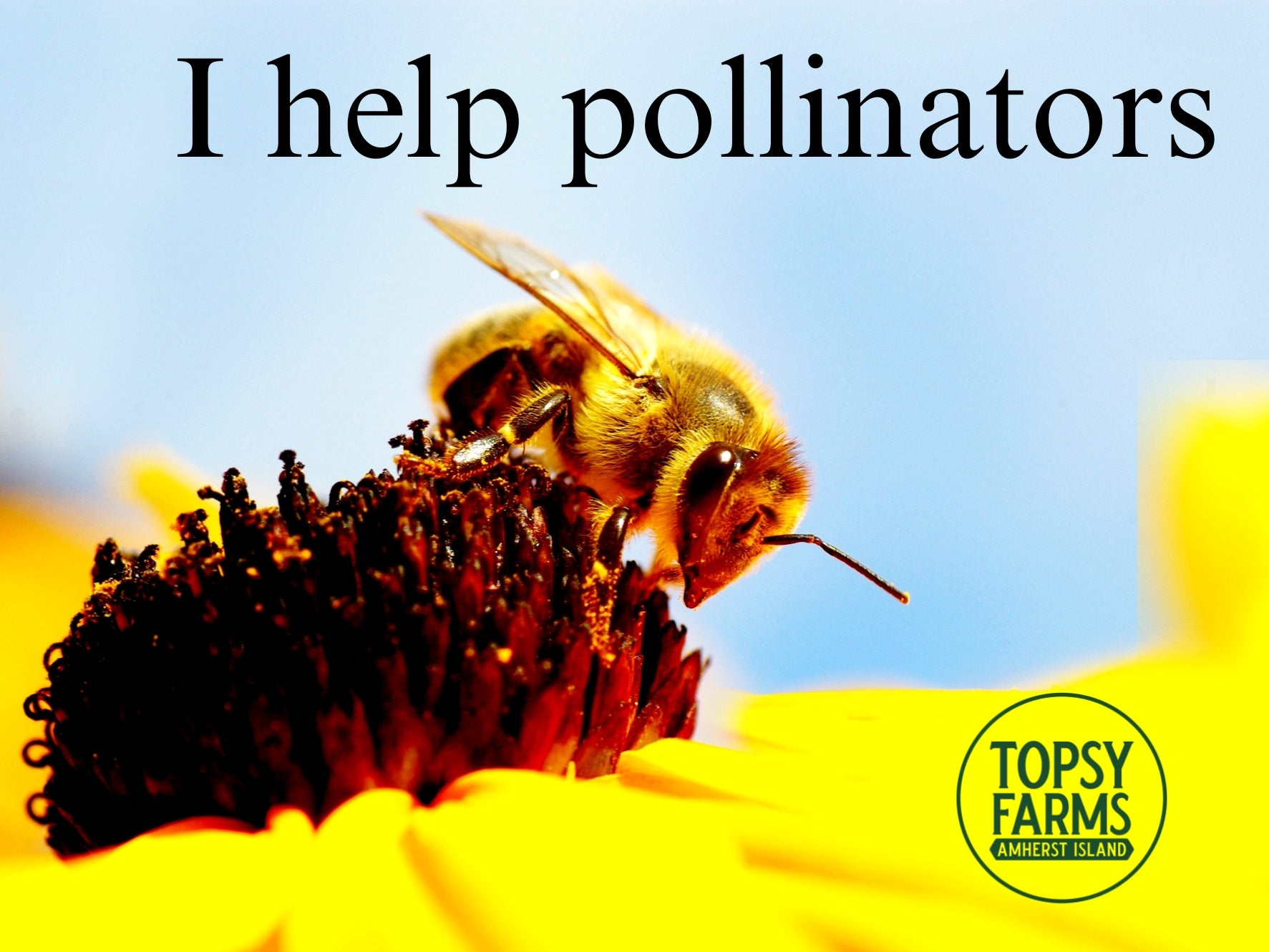 Adopt a Pollinator