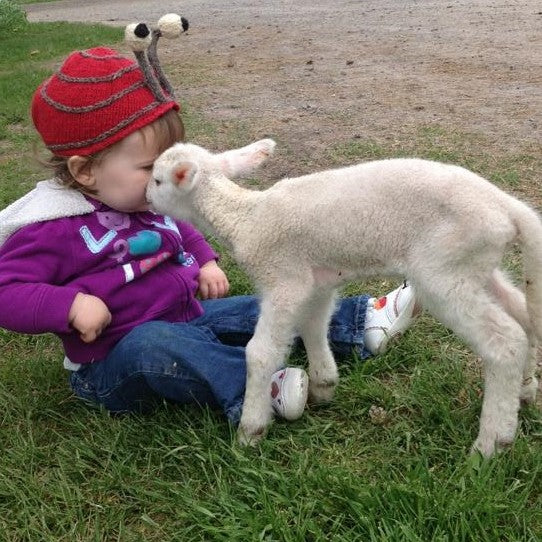 Foster Lamb Visit - not feeding